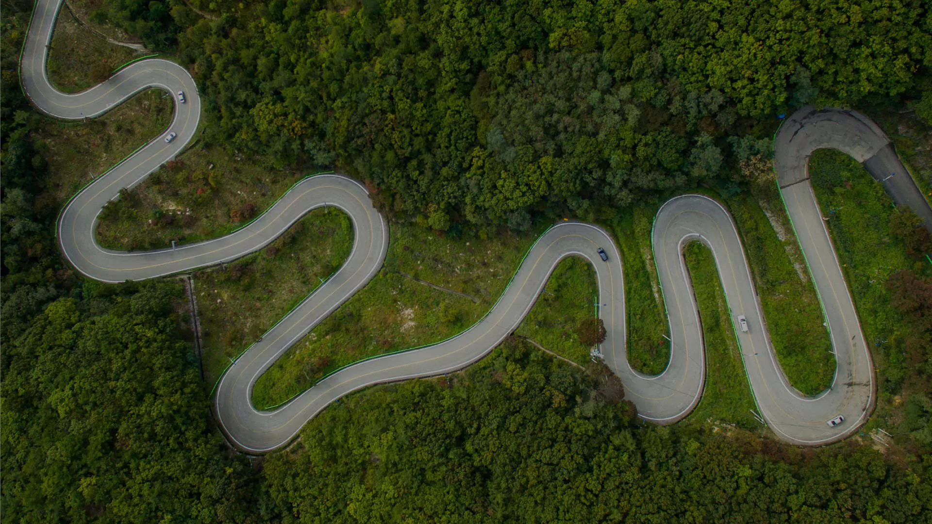 Skills Transformation Roadmap
